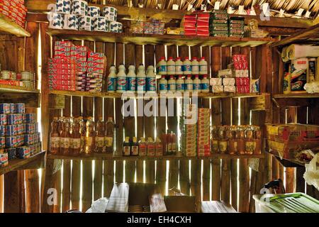 Panama, Darien province, Darien National Park, listed as World Heritage by UNESCO, Embera indigenous community, food reserve an Embera family Stock Photo