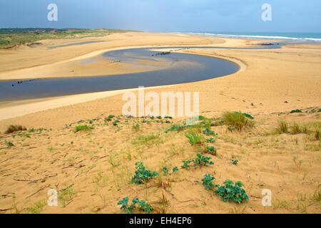 France, Landes, Moliets et Maa, the estuary of the national nature reserve Courant Huchet Stock Photo