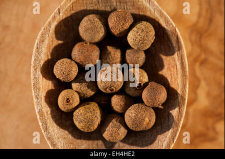 Brown whole allspice dry fruits portion Stock Photo