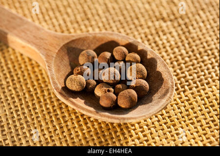 Brown whole allspice dry berries portion Stock Photo