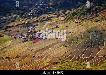 Philippines, Luzon, Cagayan valley, Ifugao, Banaue, Batad, rice terraces amphitheater listed as World Heritage by UNESCO Stock Photo