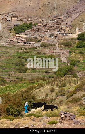 Morocco, High Atlas, Toubkal National Park, the village of Tacheddirt Stock Photo