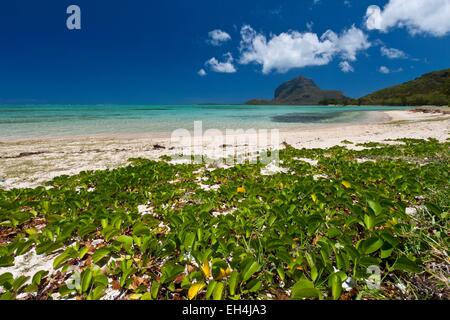 Mauritius, South West Coast, Black River District, Prairie Beach and Morne Brabant listed as World Heritage by UNESCO Stock Photo