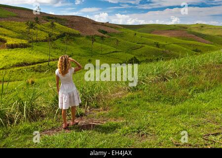 Mauritius, South West Coast, Black River District, woman in front of the cane fields of sugar Chamarel Stock Photo