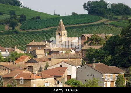 France, Saone et Loire, village of Milly Lamartine, vineyard of Maconnais Stock Photo