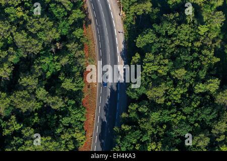 France, Alpes Maritimes, Valbonne, aerial view of a car on a road in a wooded landscape Stock Photo