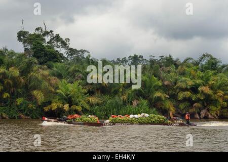 Gabon, Ogooue-Maritime Province, motor boat with its load of bananas going up a river of the Fernan Vaz (Nkomi) lagoon Stock Photo