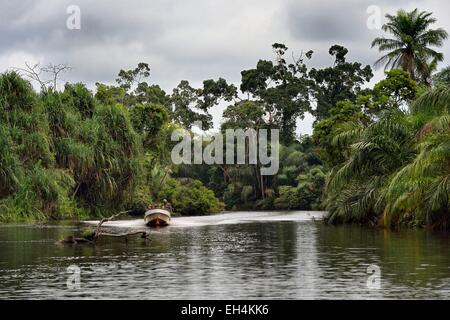 Gabon, Ogooue-Maritime Province, Loango National Park, motor boat on a river of the Akaka site in the Fernan Vaz (Nkomi) Lagoon Stock Photo