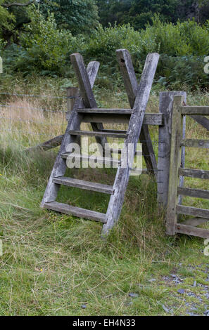 Ladder over fence. Snowdonia National Park, Gwynedd, Wales, United Kingdom. Stock Photo