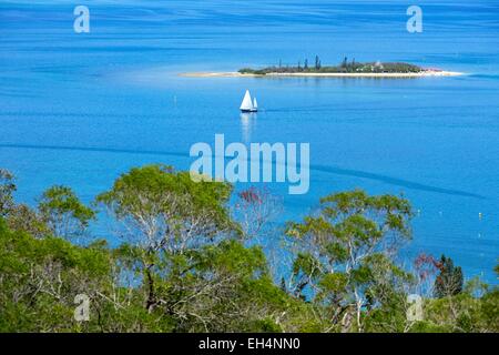 France, New Caledonia, Grande-Terre, Southern Province, Noumea, Anse Vata, Island Ducks Stock Photo