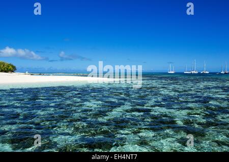 France, New Caledonia, Southern Province, off Noumea, nature reserve island Laregnere Lagoon listed as World Heritage by UNESCO Stock Photo