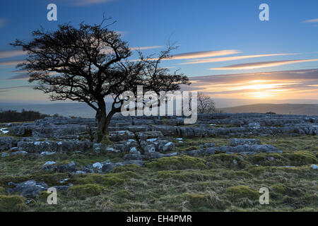 Sunset on the limestone pavement at Winskill Stones, near to the village of Langcliffe in the Yorkshire Dales Stock Photo