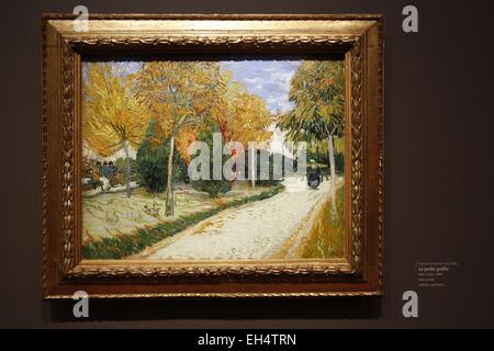 France, Paris, Orsay Museum, Exhibition of Van Gogh and Antonin Artaud masterworks, commisioner Mrs Isabelle Cahn, The public garden, 1888