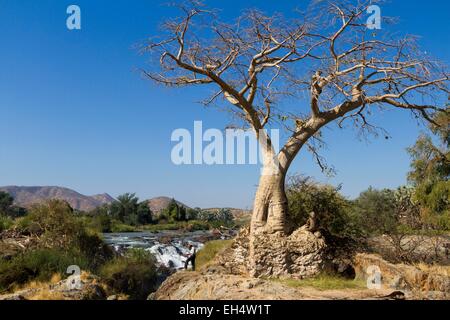 Namibia, Kunene region, Kaokoland, Epupa Falls, photographer in front of a baobab Stock Photo