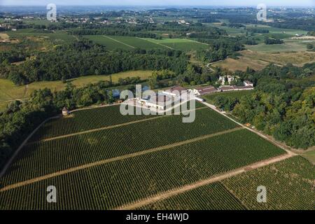 France, Gironde, Saint Philippe d'Aiguille, l'Aiguilhe castle and its vineyards (aerial view) Stock Photo