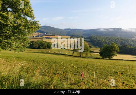 France, Saone et Loire, Saint Leger sous Beuvray, Bibracte, landscape from Gaulish oppidum, Parc Naturel Regional du Morvan (Regional Natural Park of Morvan) Stock Photo