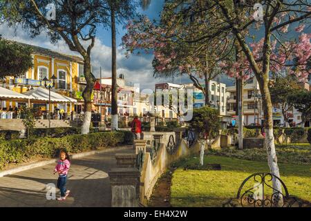 Ecuador, Imbabura, Atuntaqui, Equatorian little girl in a public park at sunset Stock Photo