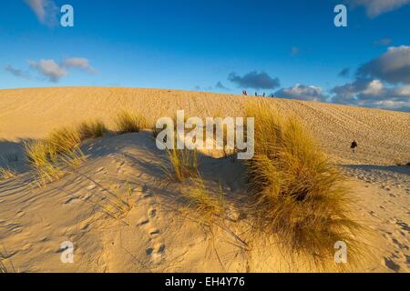 Australia, South Australia, Kangaroo Island, Little Sahara Stock Photo