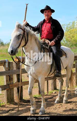 France, Gard, The Little Camargue, guardian by horse Stock Photo