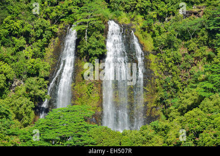 Opaeka'a Falls in Wailua River State Park, Kauai, Hawaii, USA Stock Photo