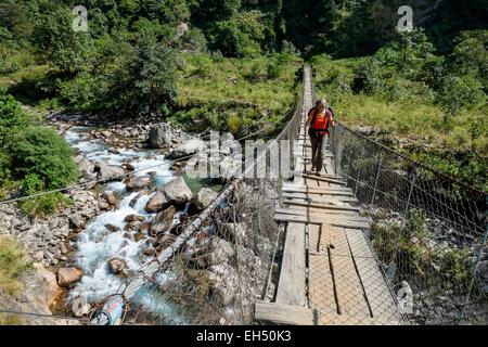 Nepal, Gandaki zone, Manaslu Circuit, between Tatopani and Philim Stock Photo