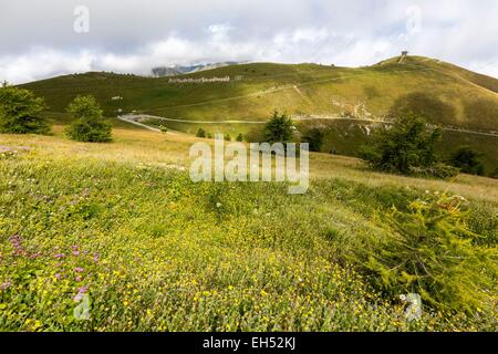 France, Alpes Maritimes, Parc National du Mercantour (National park of Mercantour), Breil sur Roya, l'Authion, vestige of barracks at the Pointe des Trois Communes Stock Photo