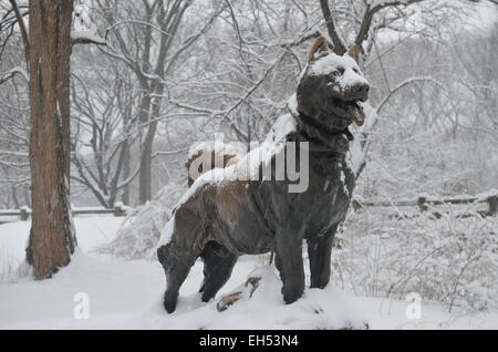 A bronze statue of the sled dog Balto stands in Central Park on Thursday amid heavy snow. The statue was erected after Balto led a dog team in 1925 that delivered life-giving medicine to Nome, Alaska, during a diphtheria epidemic. Since the 1970s, the 1,800-kilometre stretch is memorialized in the Iditarod race, the toughest dog sled race in the world. The ceremonial begin is Saturday in Anchorage, followed the the actual start on Monday 577 kilometres to the north in Fairbanks. Foto: Chris Melzer/dpa Stock Photo