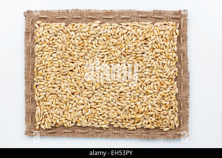 Frame of burlap and  barley in beans, lying on a white background Stock Photo