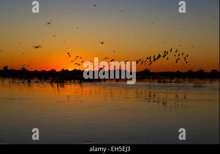 A beautiful sunset over the Chobe river in Botswana Stock Photo