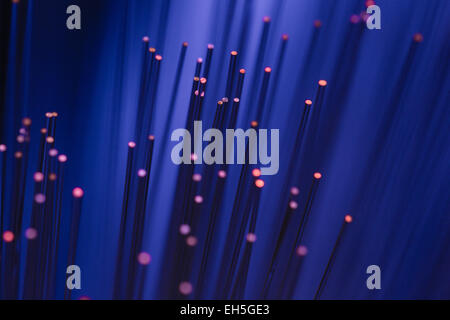 Fibre Optic cable glowing Stock Photo