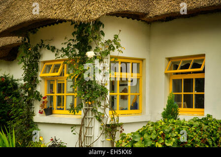 Thatched cotages in Adare, Ireland. Stock Photo