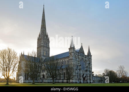 Salisbury Diocese Cathedral at Dawn - West End, North Door, Nave, Transept & Spire Stock Photo