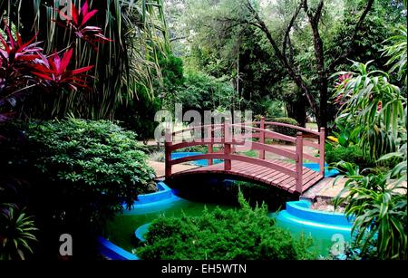 Melaka, Malaysia:  Small wooden bridge spans pools of water in the lush Forbidden Gardens at the Sultanate Palace Stock Photo