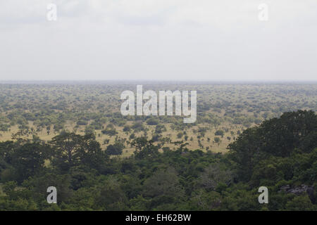 Kakum National Park. Overlooking transitional bush to grassland savanna. November. Ghana. West Africa. Stock Photo