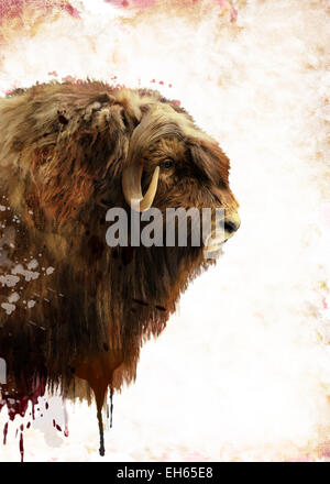 Digital Painting Of  Muskox Head Stock Photo