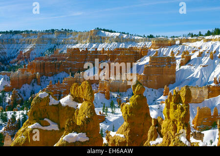 Bryce Canyon National Park during winter with snow on the hoodoos. Stock Photo