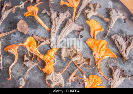 Dried black- , funnel- and ordinary chantarelles, on a stone plate Stock Photo