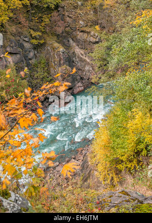 Russia, Adygeya.  Kamennomostskiy district. The White river. Granite canyon in gorge Guzeripl. Autumn colors in the mountains. Stock Photo