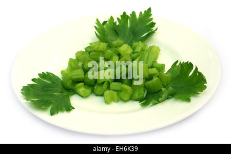 Green celery on a plate over white background Stock Photo