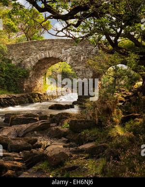 Old weir bridge. Kilanrney Lakes, Gap of Dunloe. Killarney National Park, Ireland Stock Photo