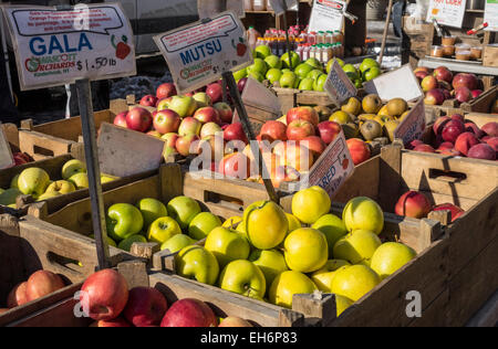 A variety of apples on sale at the Greenmarket in Union Square in New York City Stock Photo