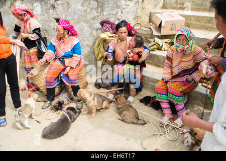 Dog traded at Bac Ha Sunday Market famed for buffalo selling near Lao Cai, and Sa Pa,Sapa, hill tribe, town, Vietnam,dog,selling,buying,animal,trade, Stock Photo