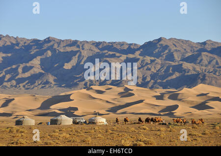 Khongoryn Els Sand Dunes With Camels and Geers/Yurts in the Background, Gobi Desert Stock Photo