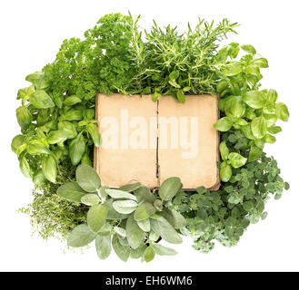 Recipe book with ages paper pages and variety fresh herbs over white background. Mock up for your food concept Stock Photo