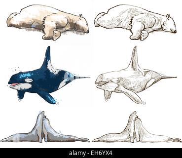 polar animals, collection Stock Vector