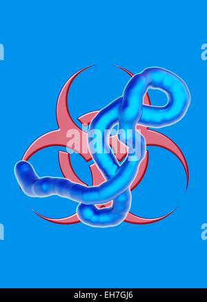 Ebola epidemic, conceptual artwork Stock Photo
