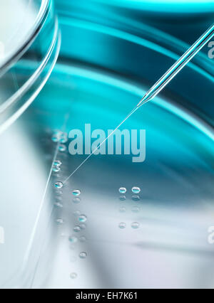 Stem Cell Research Stock Photo