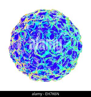 Human papilloma virus particle, artwork Stock Photo