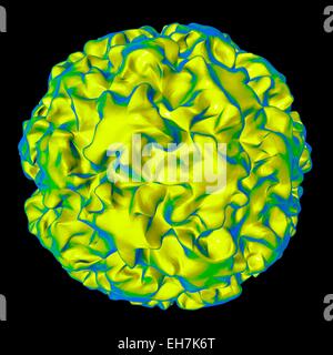 Human papilloma virus particle, artwork Stock Photo