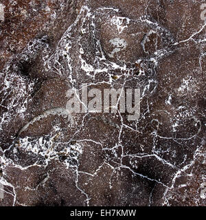 veins on the stone texture Stock Photo